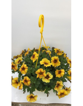 Кашпо 20 см підвісне для квітів 3 літри жовте Україна