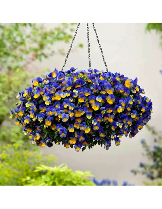 Кашпо 23 см підвісне для квітів 4,3 літри голубе Україна